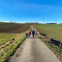 Wandelen